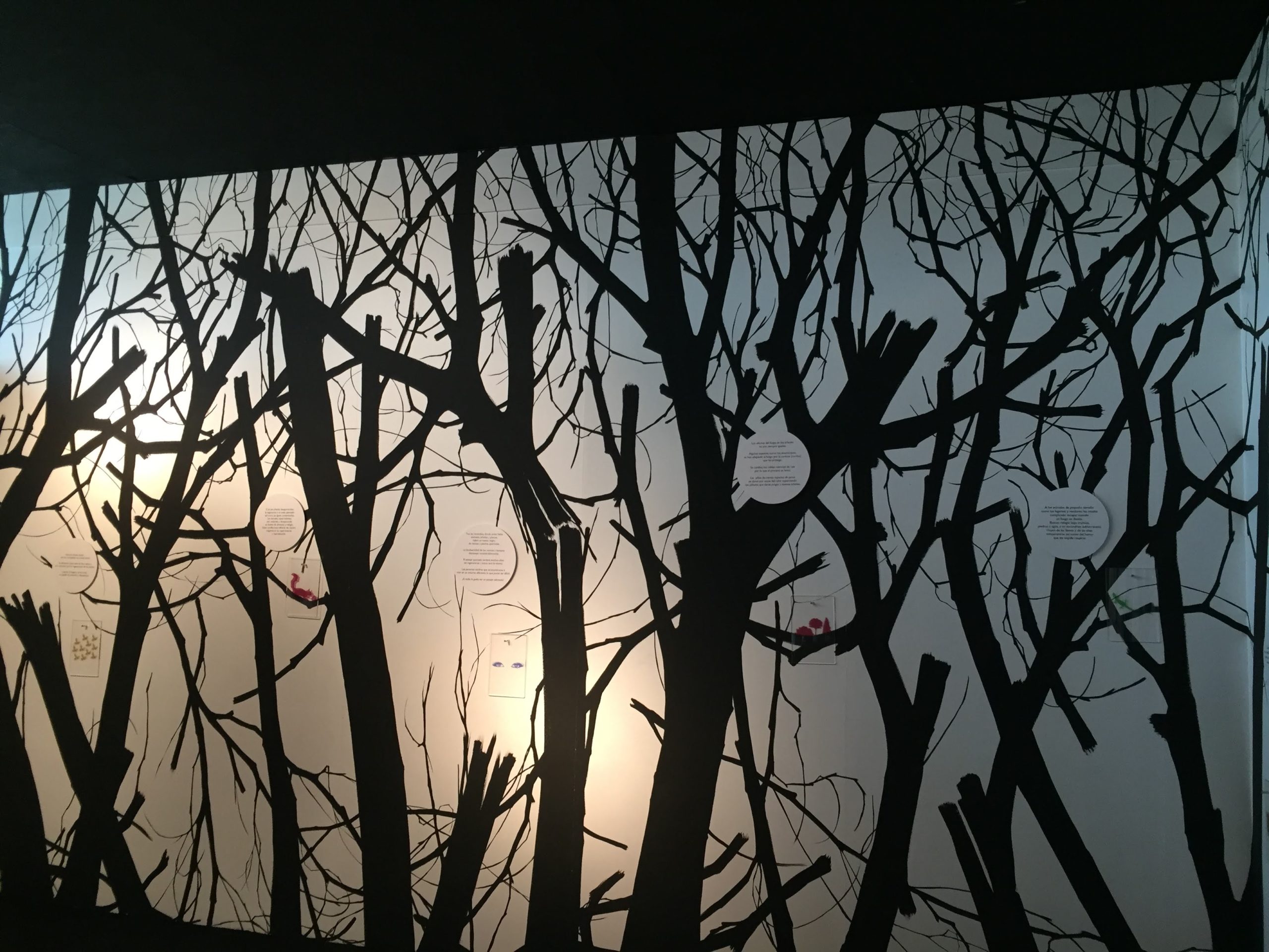 incendios_6