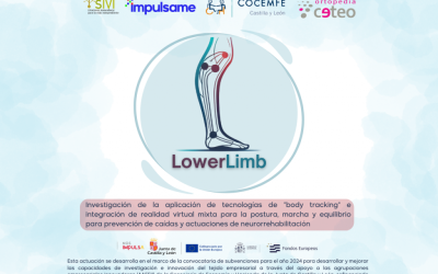 LOWER LIMB: body tracking y realidad virtual mixta para la postura, marcha y equilibrio. Prevención de caídas